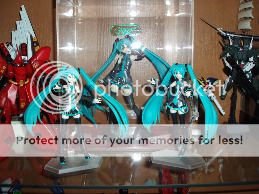 Forum Image: http://i316.photobucket.com/albums/mm325/Epsilon_013/Figure/aFigmaMikuLiveStagever_1.jpg