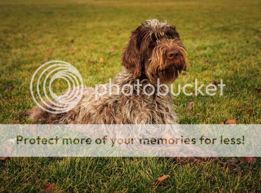 IMG_0816-2.jpg~original