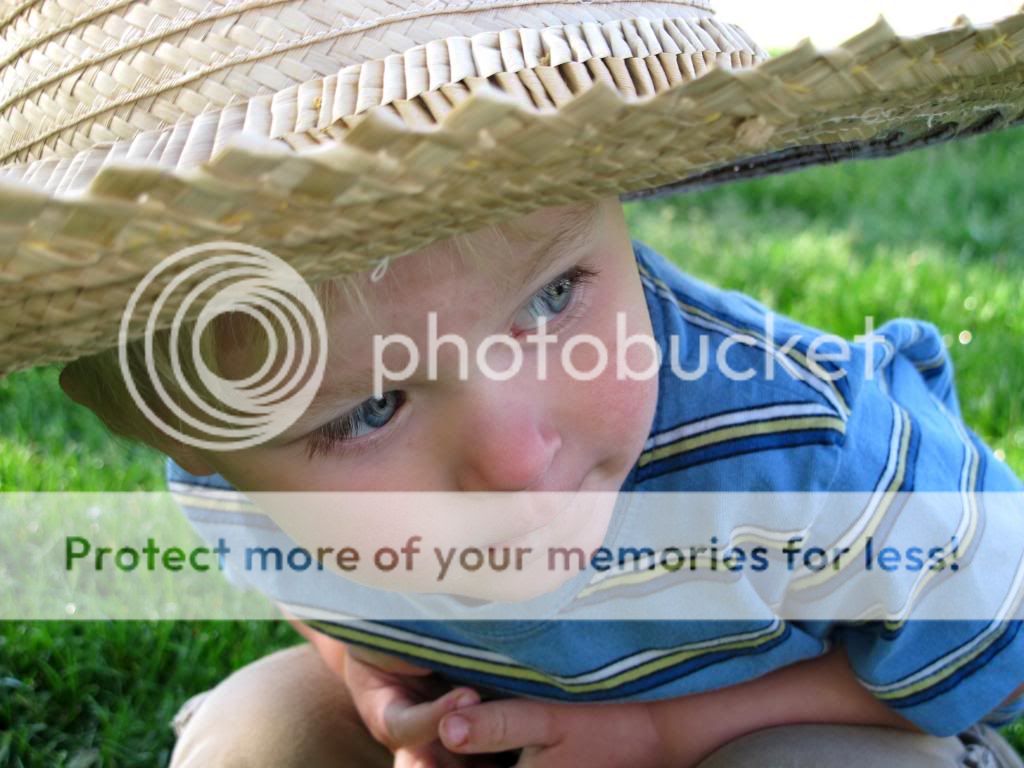 IMG_7972.jpg~original