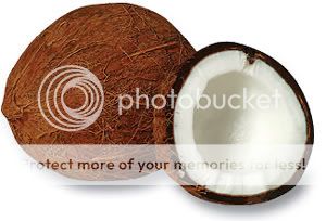 coconut Pictures, Images and Photos