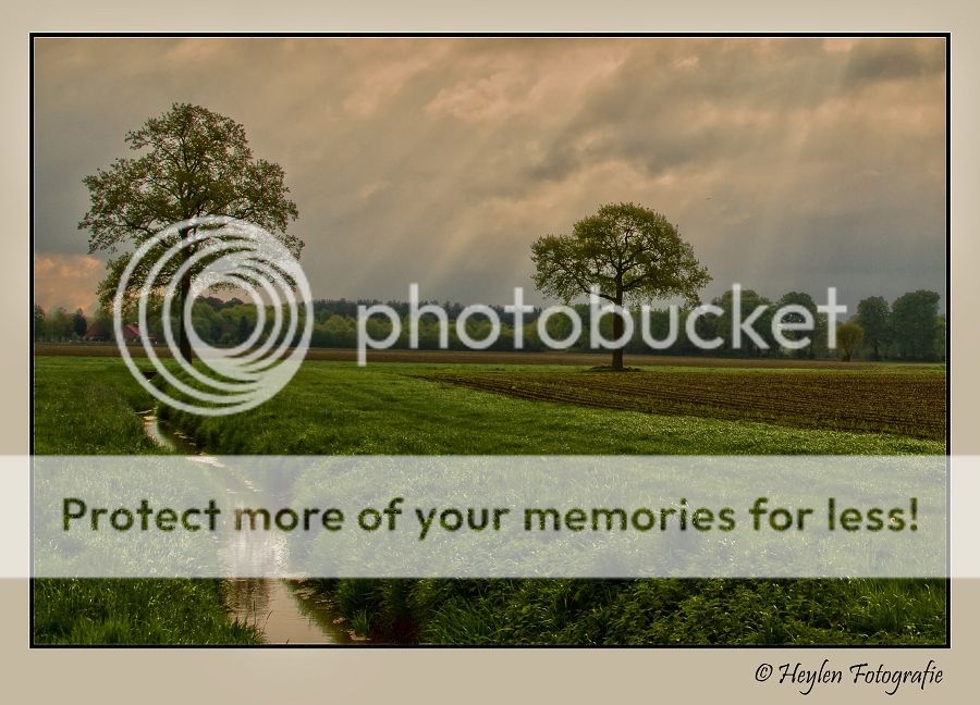 Fotografie