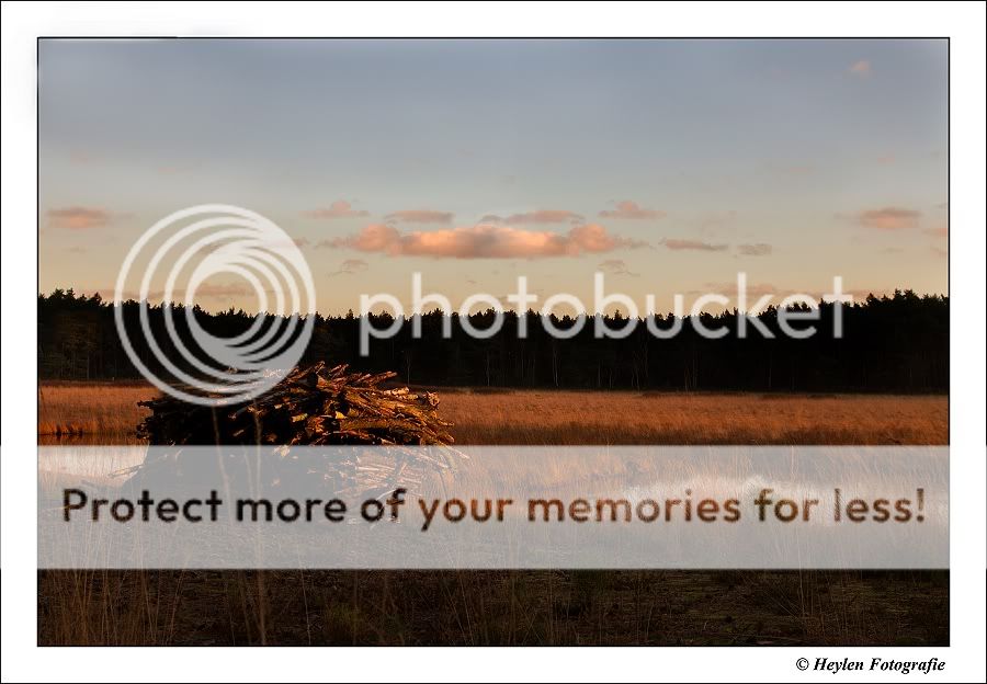 Fotografie