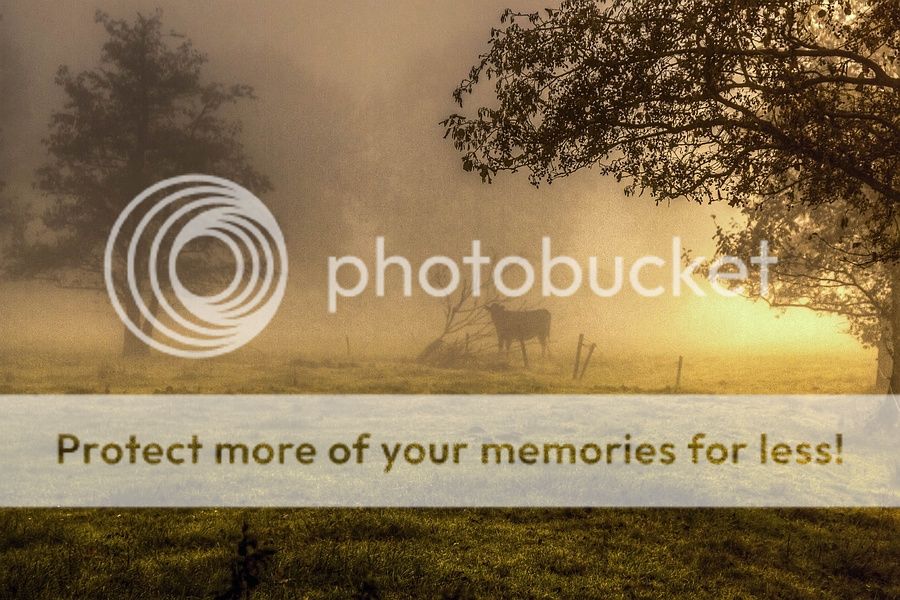 Fotografie
