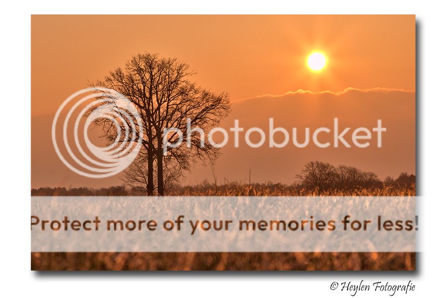 Fotografie