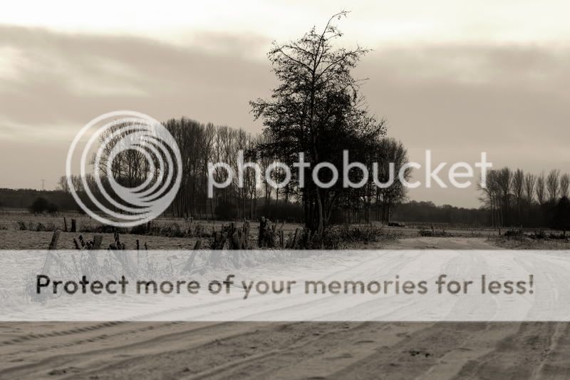 Fotografie