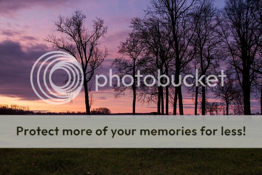 Fotografie