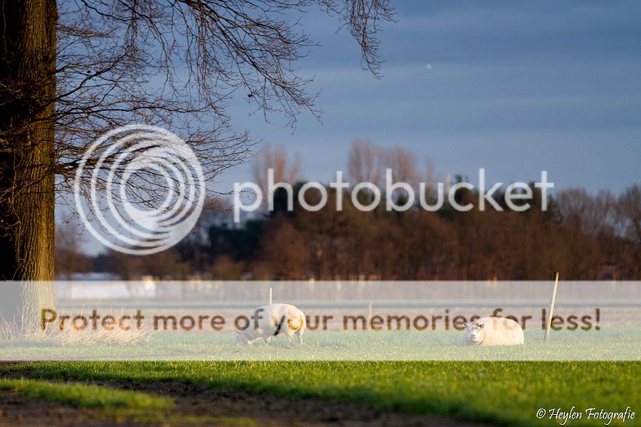 Fotografie