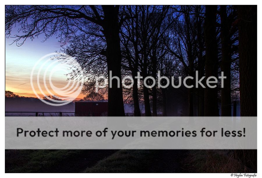 Fotografie