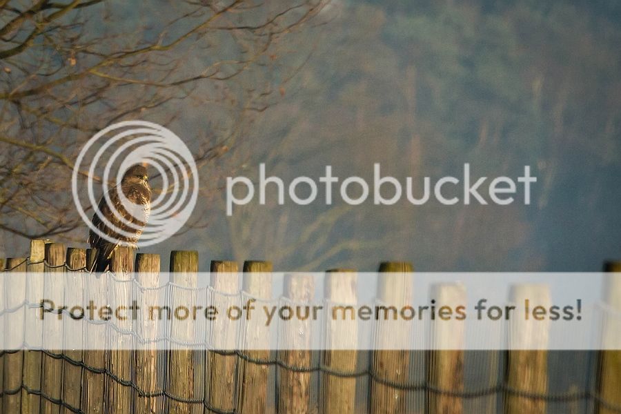 Fotografie