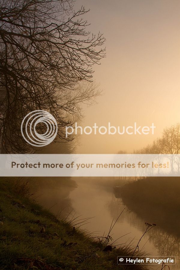Fotografie