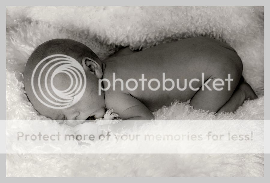 Fotografie