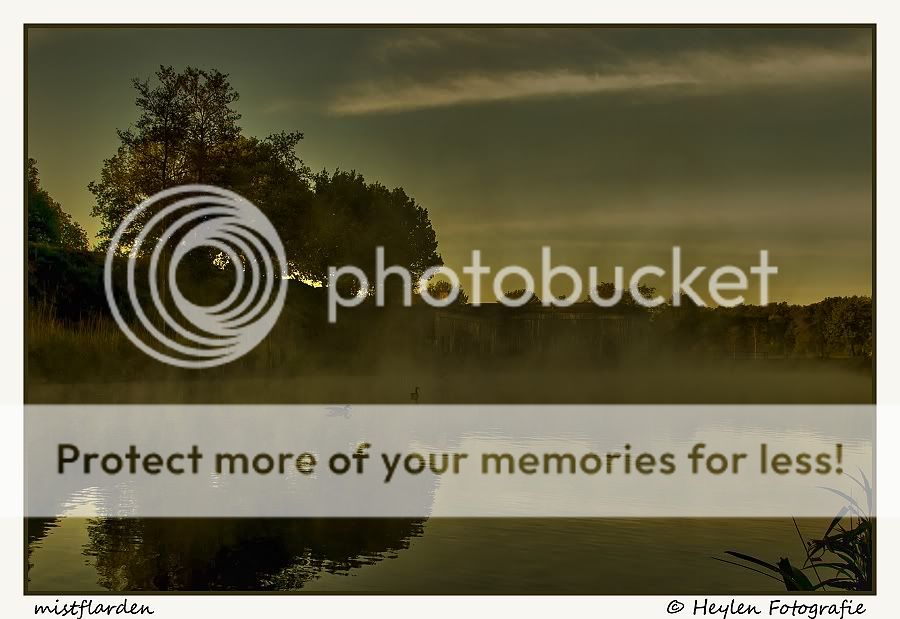 Fotografie