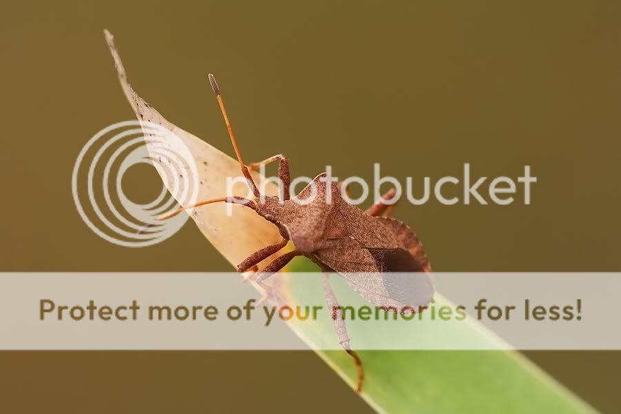 Fotografie