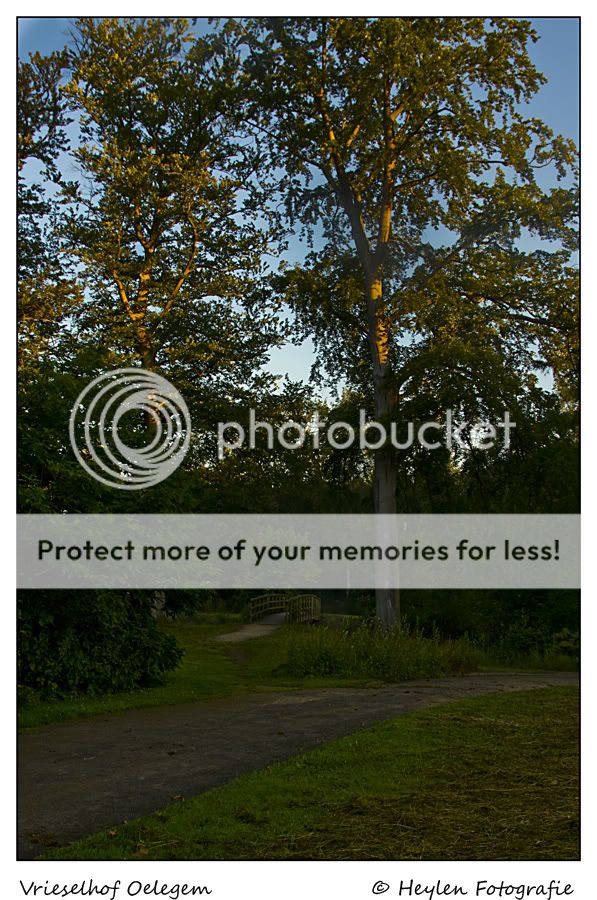 Fotografie