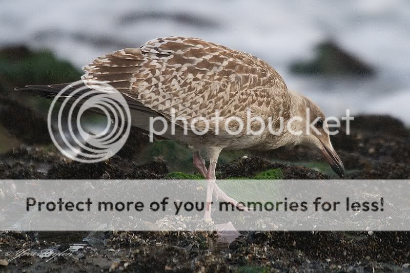Fotografie