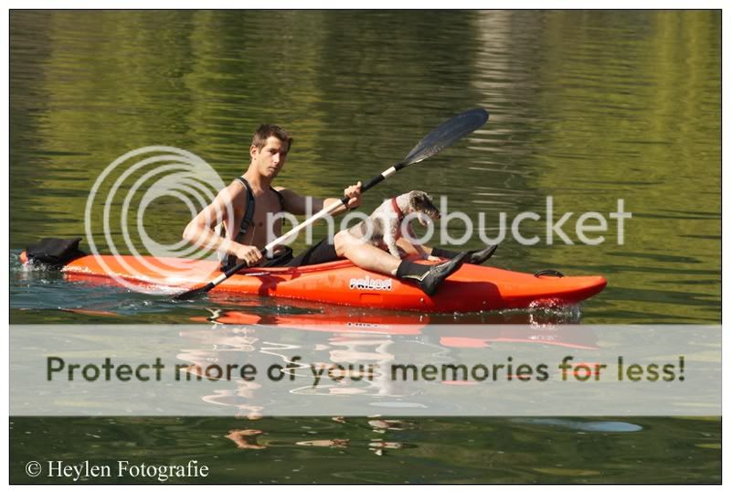 Fotografie