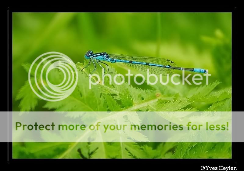 Fotografie