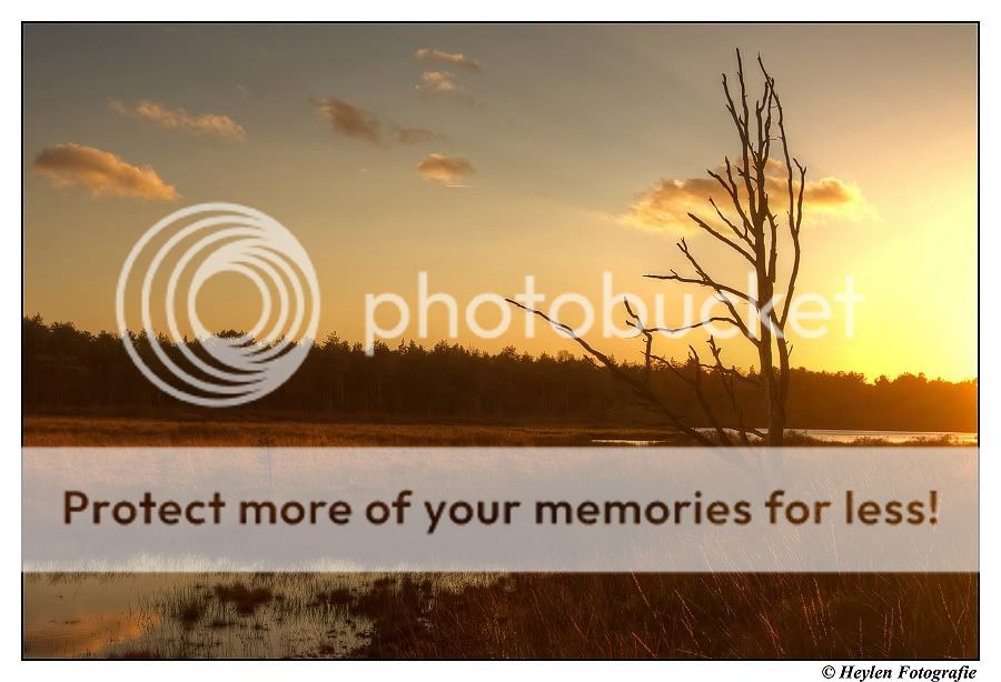 Fotografie