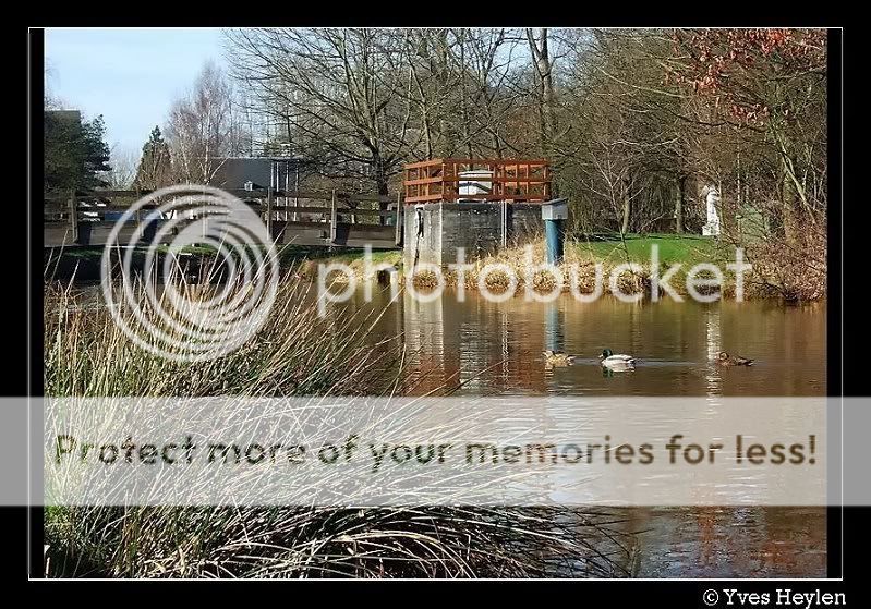 Fotografie