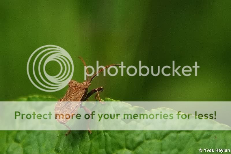Fotografie
