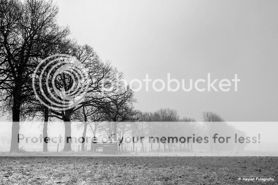 Fotografie