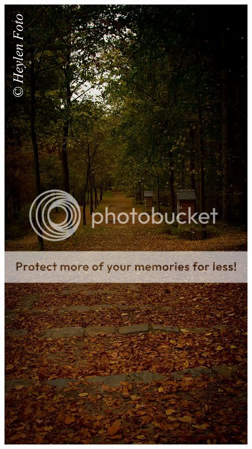 Fotografie