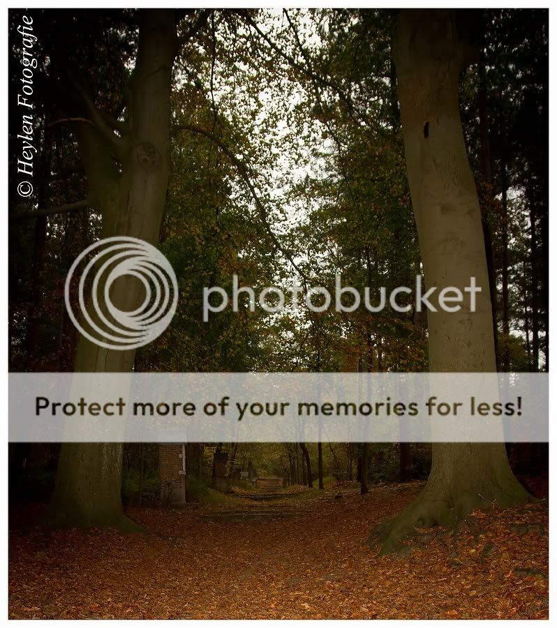 Fotografie