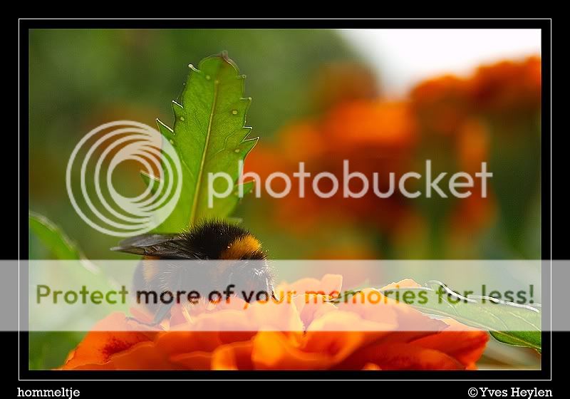 Fotografie