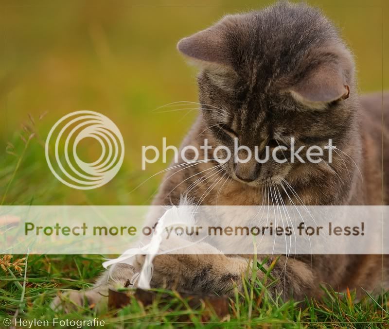 Fotografie