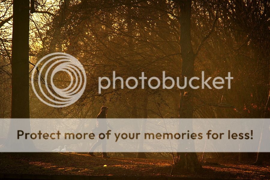 Fotografie
