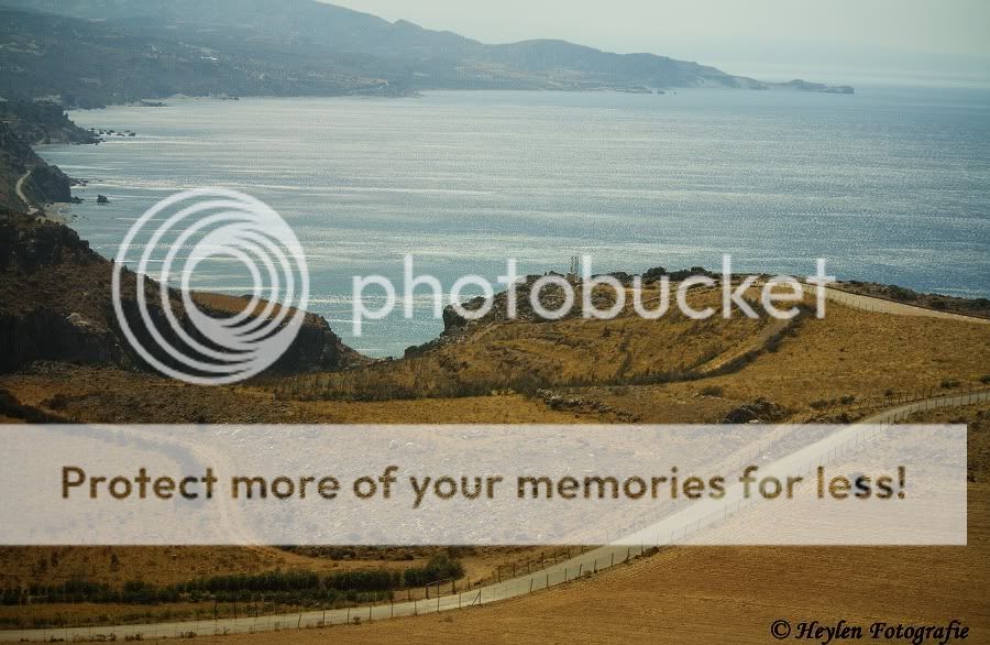 Fotografie