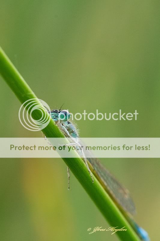 Fotografie