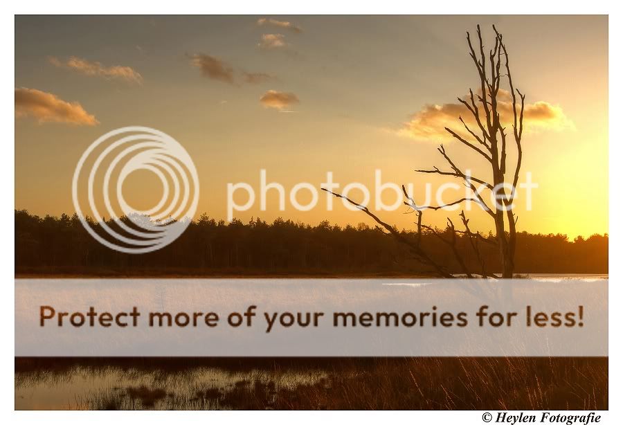 Fotografie