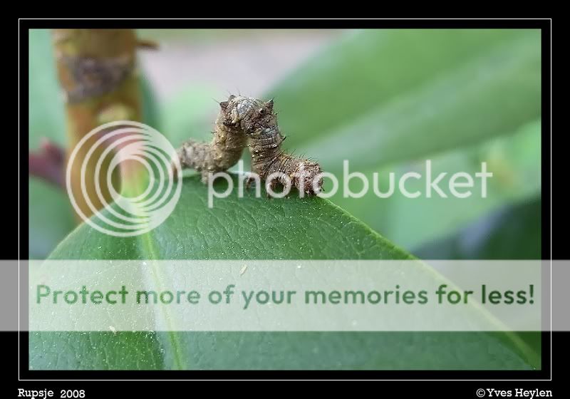 Fotografie