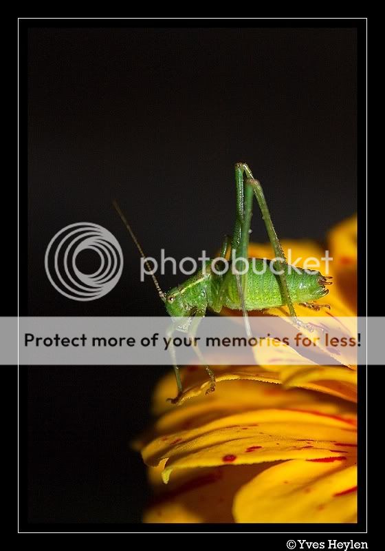 Fotografie