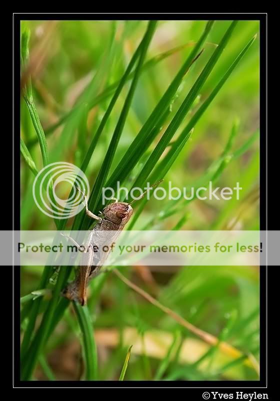 Fotografie