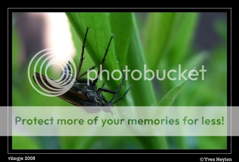 Fotografie