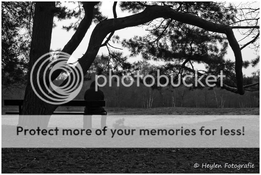 Fotografie
