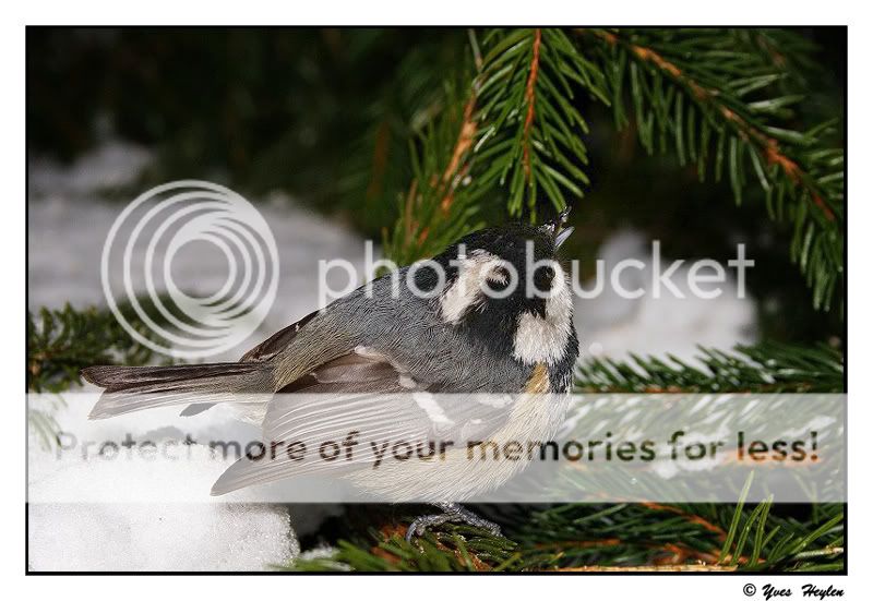 Fotografie