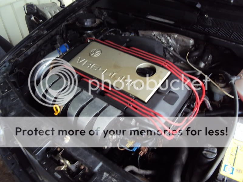 Help! VR6 dies after rev! VW Vortex Volkswagen Forum