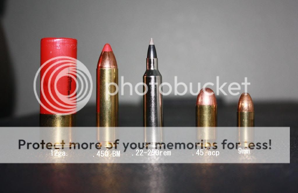 308+vs+223+Ammo+Cost 450 bushmaster ammo for sale http://www.calguns.net/calgunforum ...