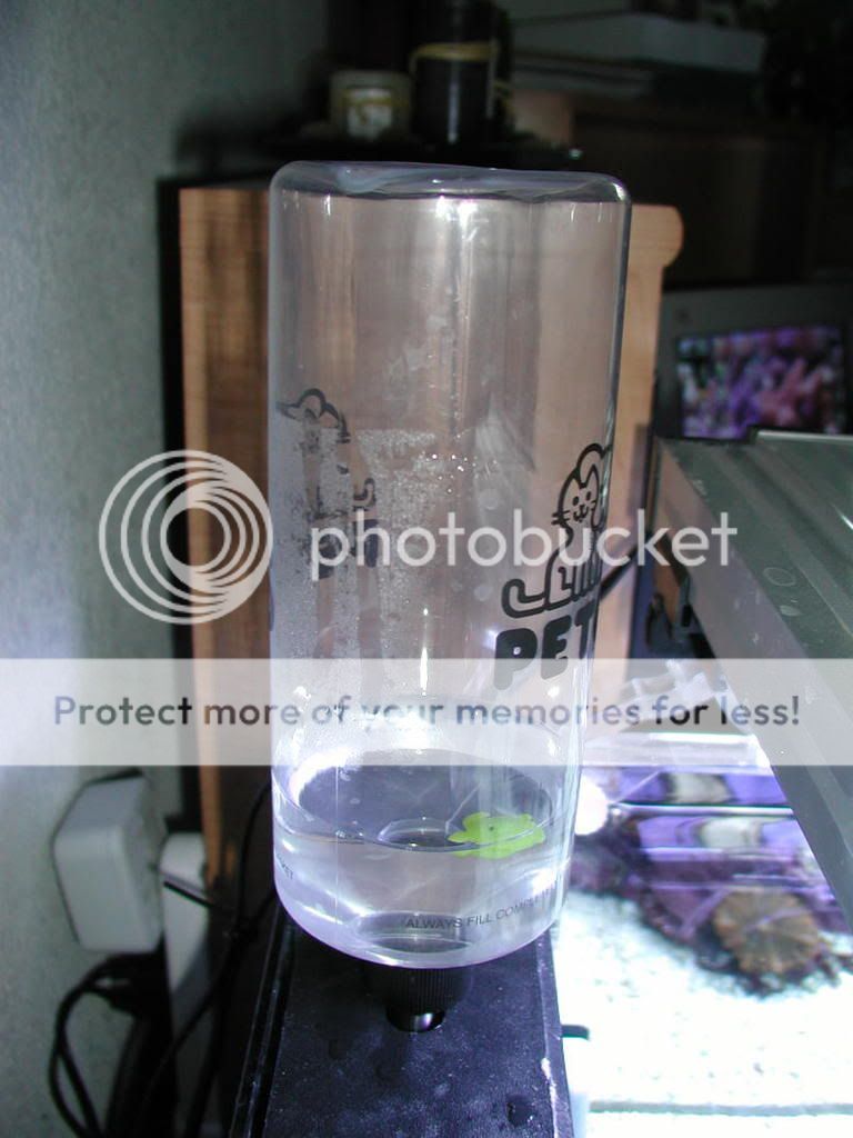 Water Evaporation The Reef Tank