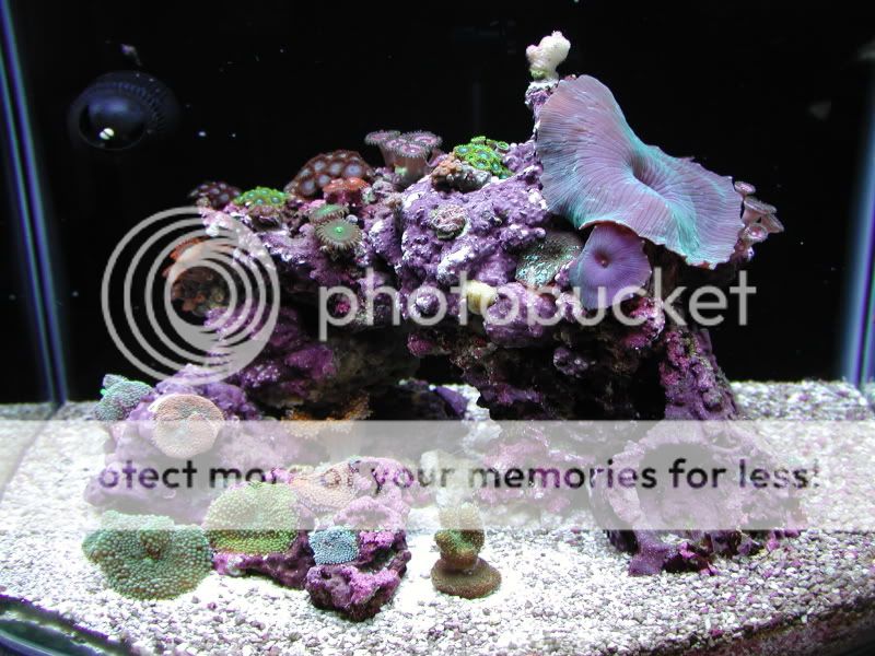 Water Evaporation The Reef Tank