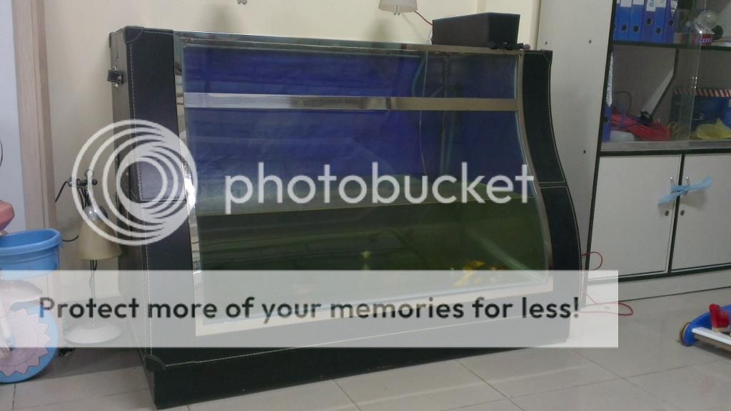 Dư dùng cần bán 2 hồ cá và thủy sinh (Hồ không đụng hàng kekeke) - 2