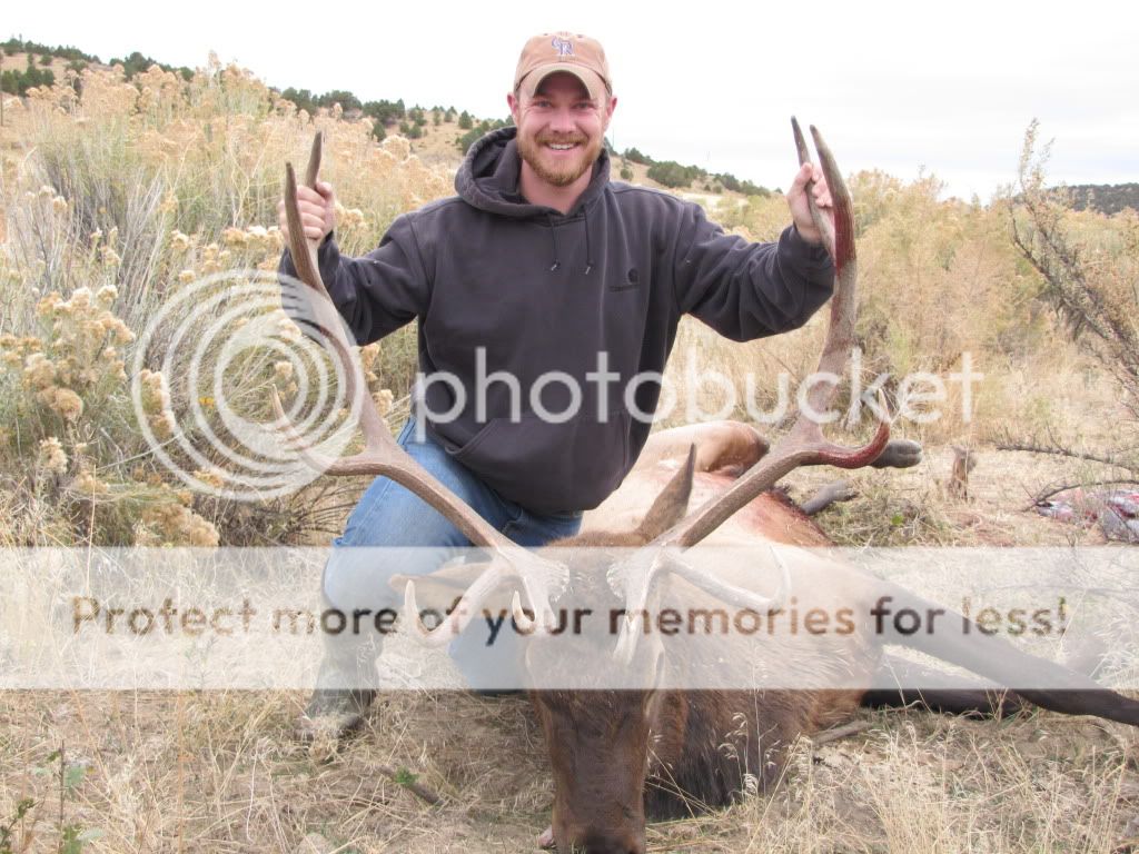 Colorado 1st Rifle Season Elk Hunt Kentucky Hunting