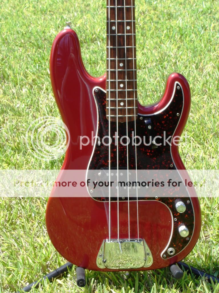 who has the most "authentic" looking tortoise pickguard for p bass